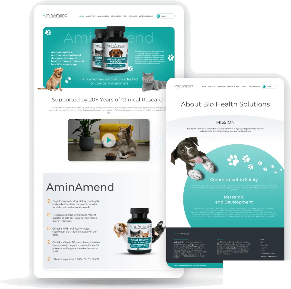 AminAmend website on laptop, tablet and phone, built by Anjala Jose